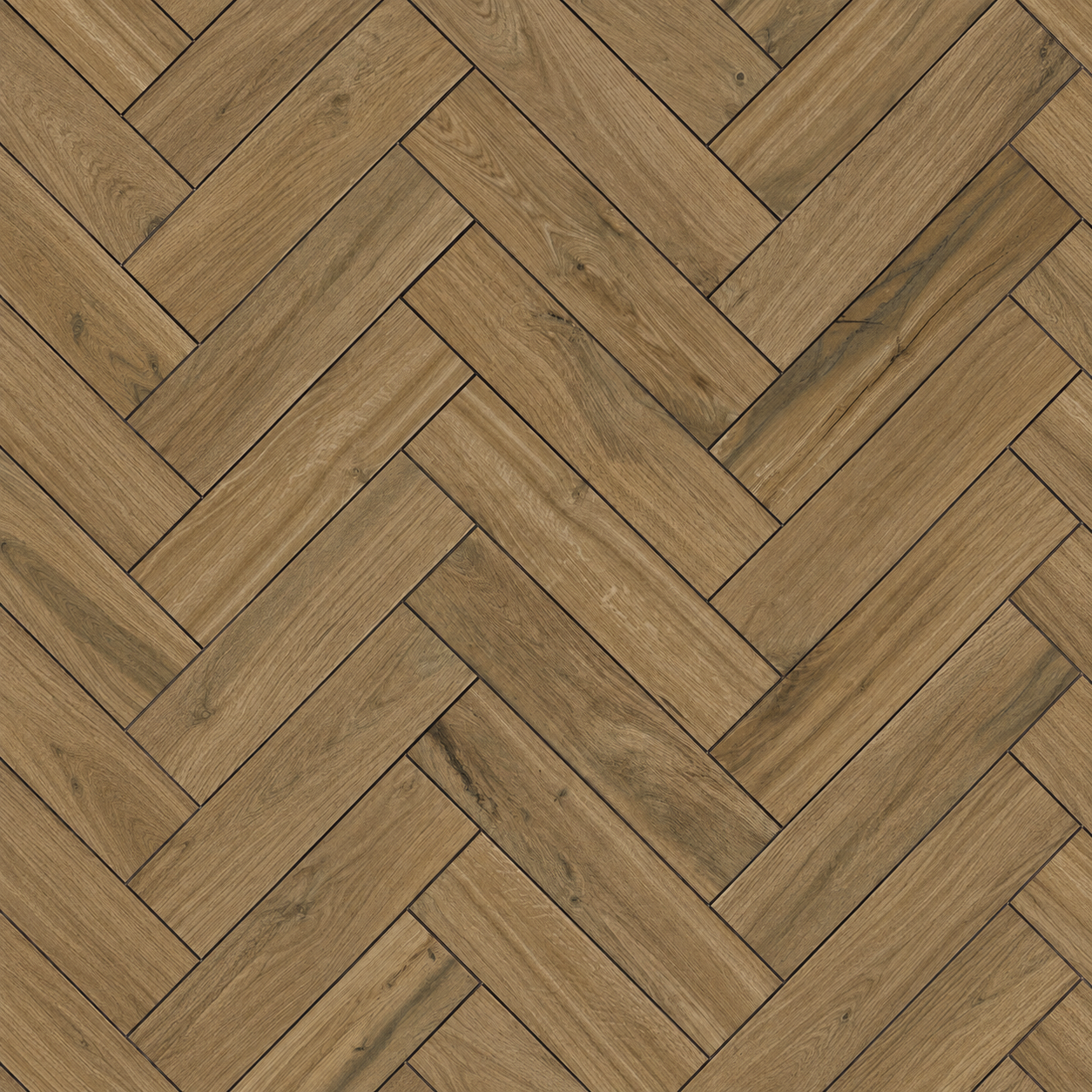 Antico