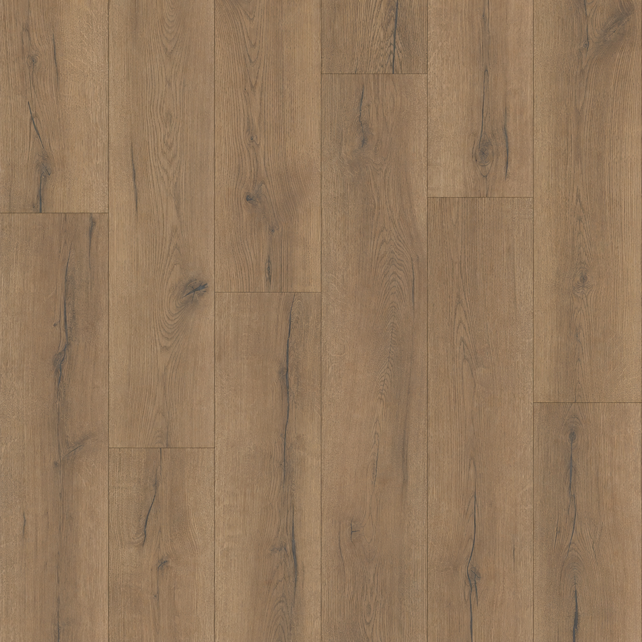 Harvest Oak