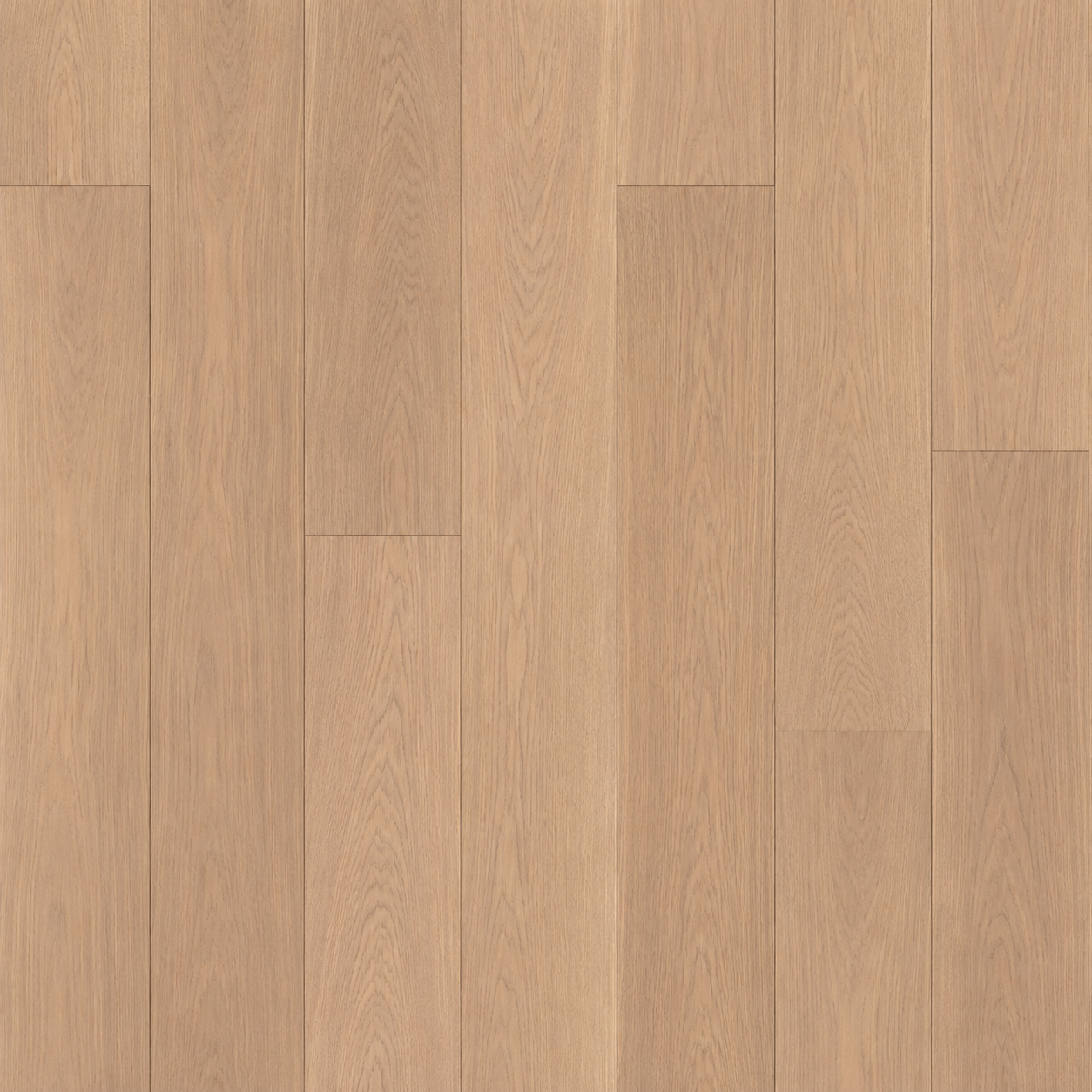 Mist Oak