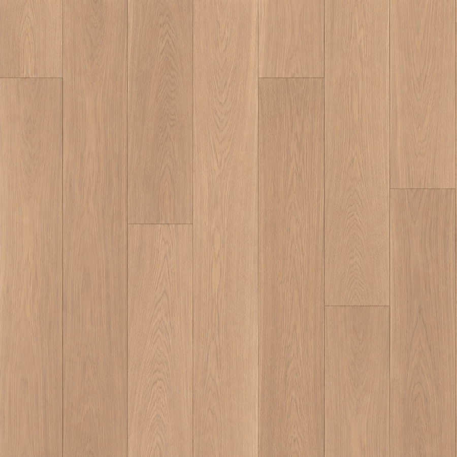 Mist Oak
