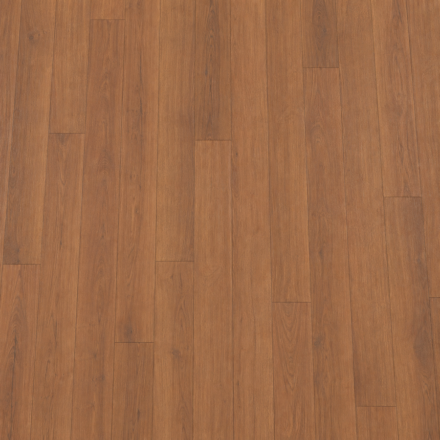 Sunset Oak